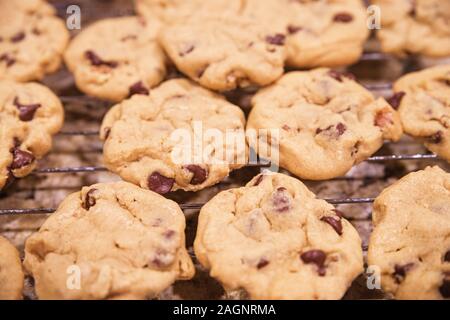 homemade chocolate chip cookies cooling on a rack with selective focus Stock Photo