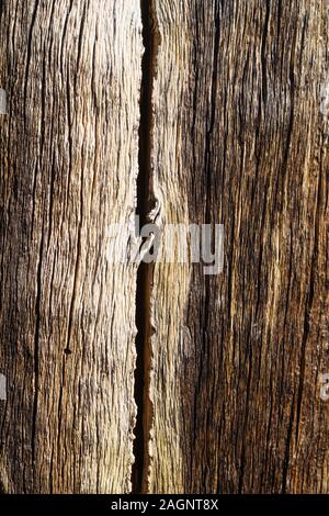 old weathered wood tree truck background texture with cracks and splits Stock Photo