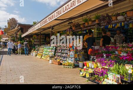 Istanbul, Turkey - September 19th 2019. A stall selling flowers and seeds in the exterior part of the Egyptian Spice Bazaar, also known as Misir Carsi Stock Photo