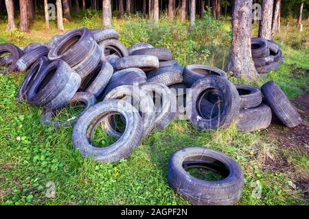 Many different old black dirty used car tires as an illegal abandoned trash dump in remote green area. Stock Photo