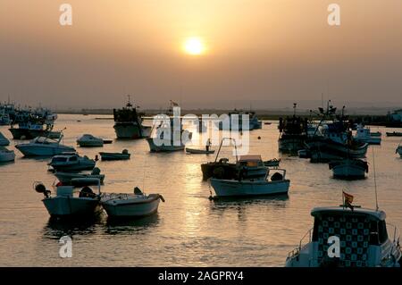 Fishing port, Isla Cristina, Huelva province, Region of Andalusia, Spain, Europe. Stock Photo