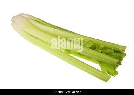 Stalks of winter faded celery from the supermarket Stock Photo