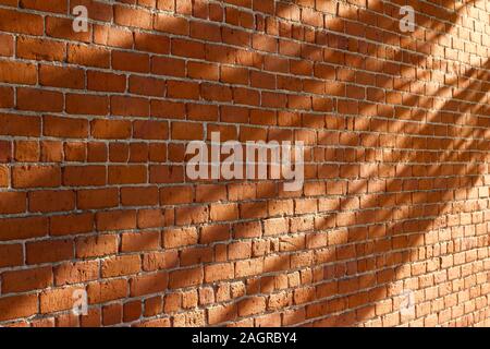 Shabby chic old rugged clay brick wall texture background (angle view) with tree shadows cast from low angle sunlight Stock Photo