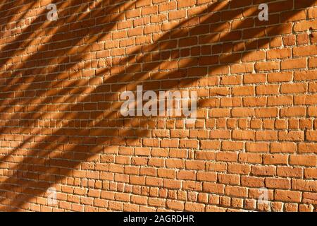 Shabby chic old rugged clay brick wall texture background (angle view) with tree shadows cast from low angle sunlight Stock Photo