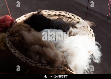 Cottony Cushion Scale, a parasite of cactus utilized as natural dye Stock Photo