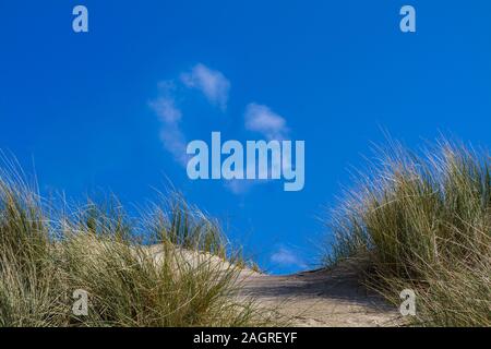 small path through the dunes at the beach with grass and clouds in the blue sky forming a heart shape in the background Stock Photo