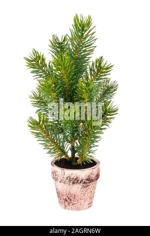 Small decorative Christmas tree in a ceramic pot Stock Photo