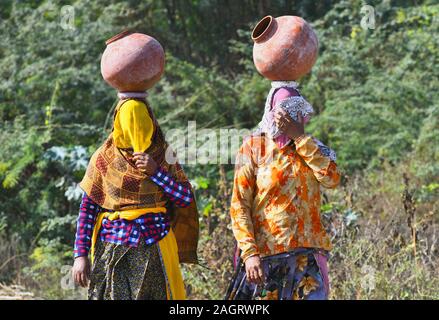 Rajasthani women in veil wear warm cloth and carry pot on her head to collect drinking water from a village near Beawar. Photo by Sumit Saraswat Stock Photo