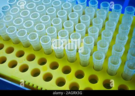Eppendorf tube in orange plastic rack for micropipette: 0.3 ml Stock Photo