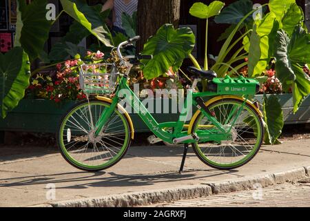 July 27, 2019 - Ithaca, Finger Lakes, NY: LimeBikes parked on W State St in Ithaca during summer season, urban bicycle-sharing system transportation Stock Photo