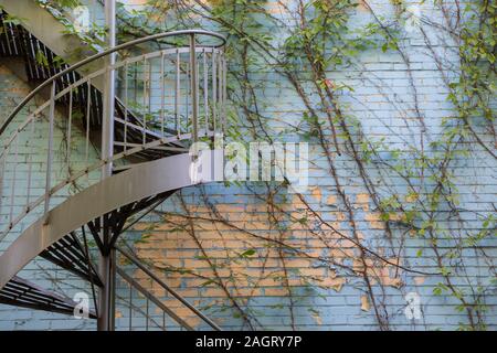 Blue and Beige painted Brick wall, climbing plants, outdoor staircases in Montreal alleyway Stock Photo
