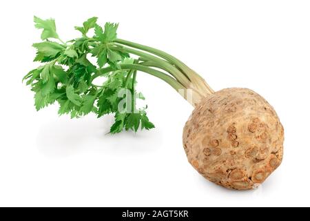 Fresh celery root with leaf isolated on white background. Stock Photo