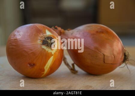 Close-up of two brown onions on wooden table, kitchen, healthy food, vegetarian Stock Photo