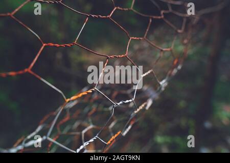 The close up of brown wire fence (barricade) which is hardly rusted in blurred background (meadow). Stock Photo