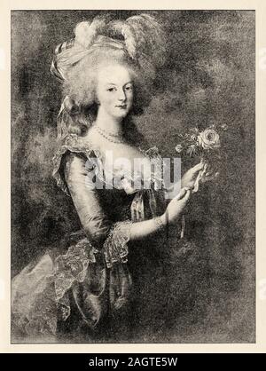 Portrait of Marie Antoinette, 1755-1793. Wife of King Louis XVI and last Queen of France. History of France, old engraved illustration image from the Stock Photo