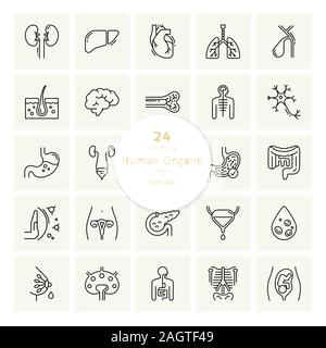 Set of vector icons of internal human organs in a glyph style isolated. Stock Vector
