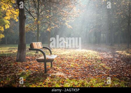 Nicely illuminated lonely park bench on an early foggy morning in autumn Stock Photo