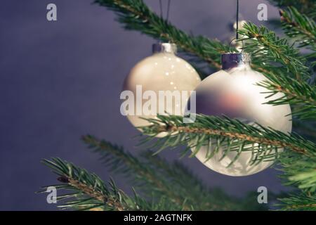 Closeup of two baubles on real Christmas tree with lilac colored background. Christmas, holidays and seasonal greetings concepts. Stock Photo