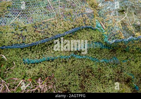 Erosion control netting keeps soil from falling down a steep slope Stock Photo