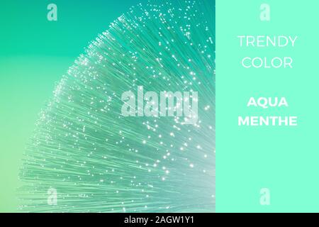 Aqua menthe - trendy color for 2020, toned futuristic technological background, closeup on the end of optical fiber network cable Stock Photo