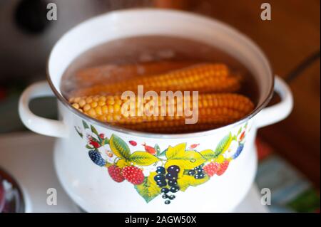 Shiny yellow sweet corn cobs boiling in a large black pot Stock Photo