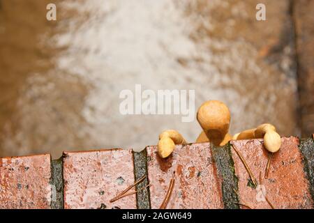 A mannequin depicts a person who is in deep depression and contemplating giving up their life, by suicide. Stock Photo