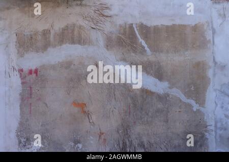 Closeup cement vintage wall, there are cracks on the wall and exposed tree roots penetrate the surface Stock Photo