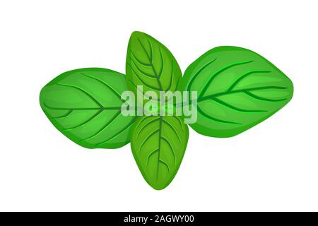 basil logo isolated on white background for your web, mobile and app ...