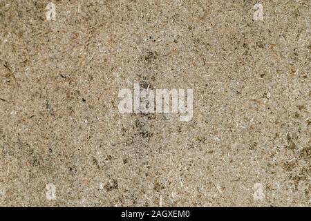 The weathered old particle board surface with stains is affected. Abstract particle wood  texture background Stock Photo