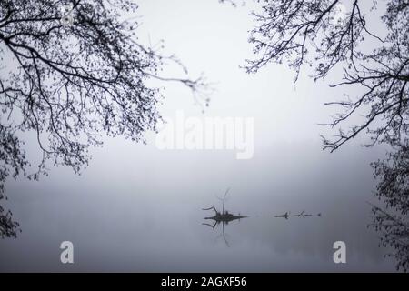 Poznan, Wielkopolska, Poland. 22nd Dec, 2019. The weather has rapidly changed in Poznan (the city in the polish lowlands) during several minutes of the morning - quite like in the mountains. The snow cover was normal thing in December a few dozen years ago, but now we have autumn weather in the first day of the winter. Credit: Dawid Tatarkiewicz/ZUMA Wire/Alamy Live News Stock Photo