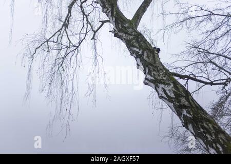 Poznan, Wielkopolska, Poland. 22nd Dec, 2019. The weather has rapidly changed in Poznan (the city in the polish lowlands) during several minutes of the morning - quite like in the mountains. The snow cover was normal thing in December a few dozen years ago, but now we have autumn weather in the first day of the winter. Credit: Dawid Tatarkiewicz/ZUMA Wire/Alamy Live News Stock Photo