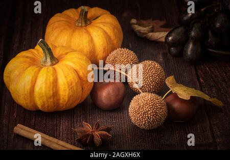 Autumn still life with munchkin pumpkins Stock Photo