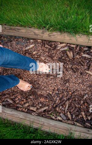 Kneipp barefoot path Stock Photo