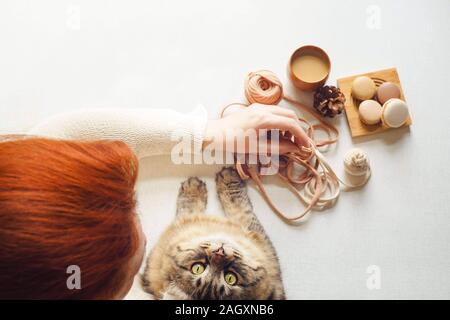 View of the table above where kitty and female drink coffee and unravel tangle. Cat looks right to camera and red hair young woman drink latte, eat ma Stock Photo