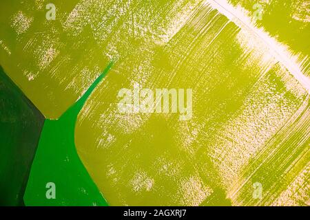 Green painted wall. Different shades. Background texture Stock Photo