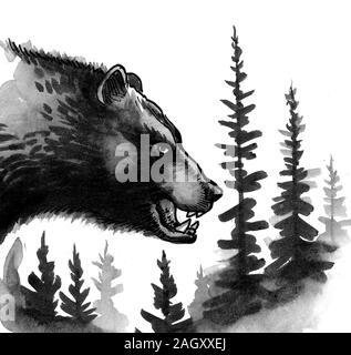 Angry grizzly bear in the woods. Ink and watercolor illustration Stock Photo