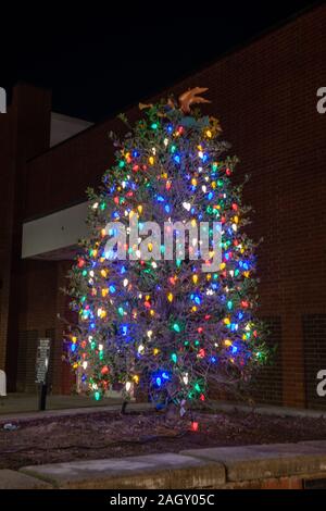 Decorated tree Stock Photo