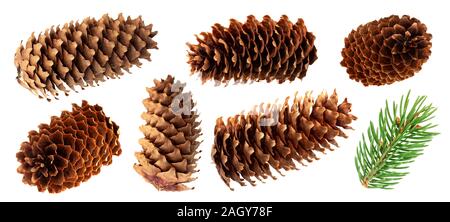 Fir cone isolated on white background with clipping path, spruce cones collection Stock Photo