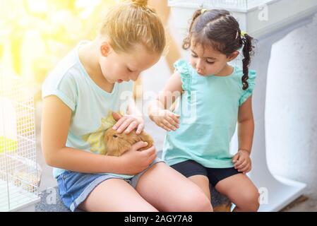 Little girls playing with rabbit in sunny day outdoor.Two happy young girls playing with bunny in a pet shop. Stock Photo