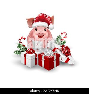 Cute little pig in gift box isolated on white background Stock Photo