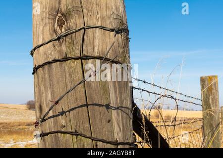 Old wooden fence post with barb wire. Stock Photo