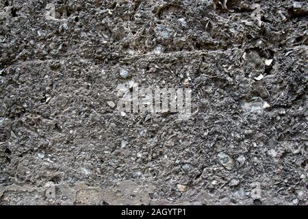 A concrete mix with sea shells as the aggregate Stock Photo