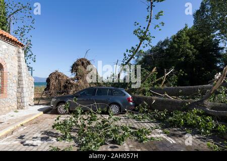 Sveti Naum, North Macedonia, July 11 2019: During a violent storm, a tree fell on a parked car on Lake Ohrid in North Macedonia Stock Photo