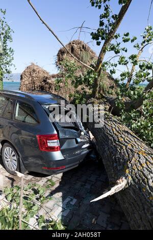 Sveti Naum, North Macedonia, July 11 2019: During a violent storm, a tree fell on a parked car on Lake Ohrid in North Macedonia Stock Photo