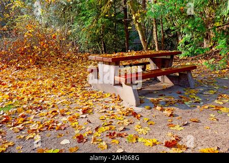 Picnic table with fallen autumn eaves in a local park. Stock Photo