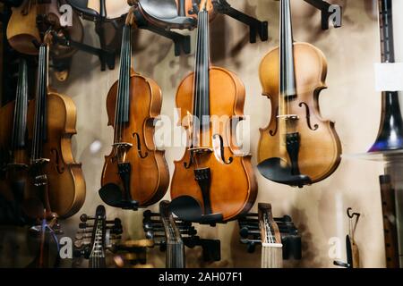 A lot of violins in a shop window selling musical instruments. Stock Photo