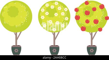 Cartoon stylized green tree with white flowers in spring and red apples in summer time. Stock Vector
