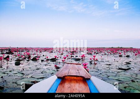 Thai long tail boat bow travel in peaceful Nong Harn full bloom red lotus lake, Udonthani - Thailand. Wooden boat in red water lilies lotus sea. Stock Photo