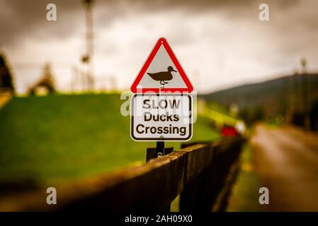 Bokeh of a road sign warning to watch out for ducks and ducklings crossing the road, placed over a fence alongside the road, on a cloudy backgound. Stock Photo