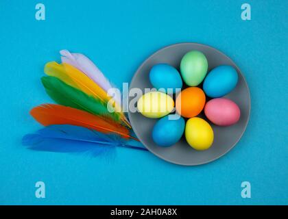 Easter multi-colored eggs and feathers on blue background. Stock Photo